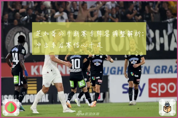 芝加哥公牛新赛季阵容调整解析：冲击季后赛信心十足